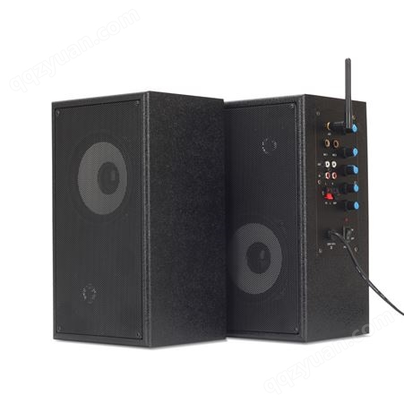 YUEPU/越普  2.4G教学音箱 5寸低音 3寸高音